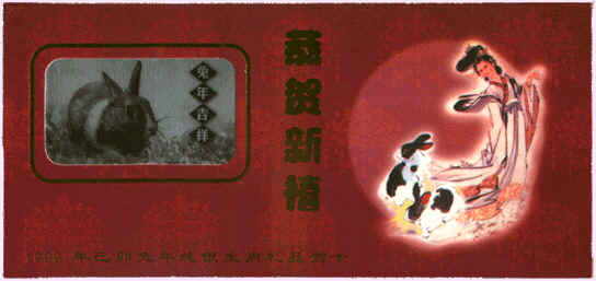 �P�~�d����