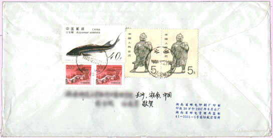 �P�~�d�H�ʭI��