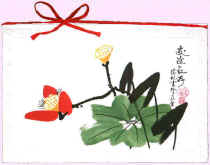 �P�d����